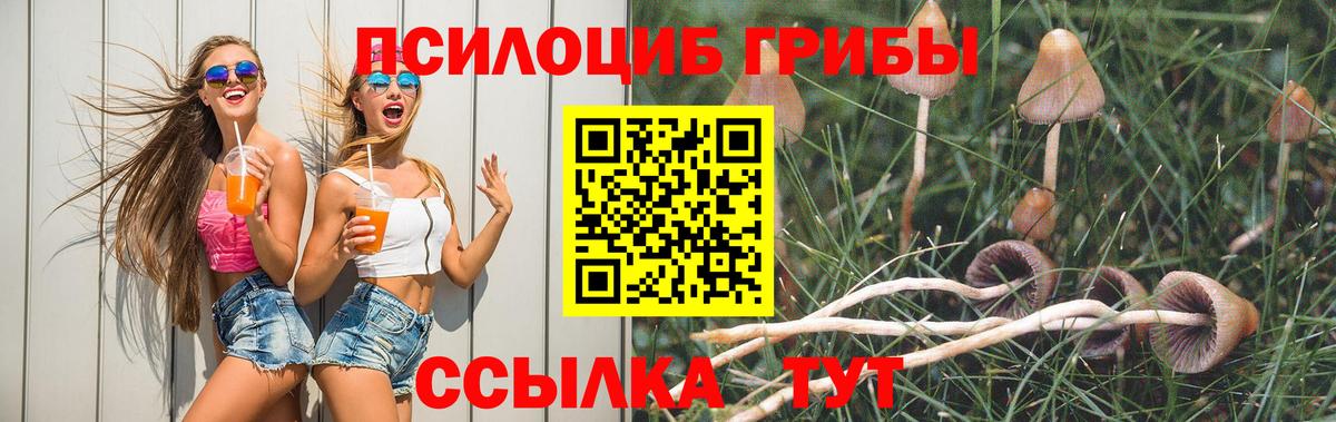 Псилоцибиновые грибы Psilocybe  хочу наркоту  Строитель  Галлюциногенные грибы GOLDEN TEACHER  Вход с VPN 